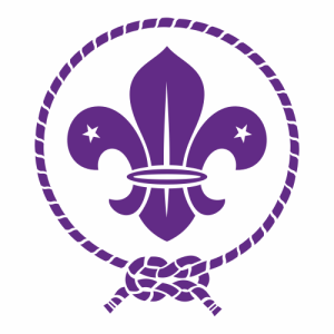 Logo Wosm